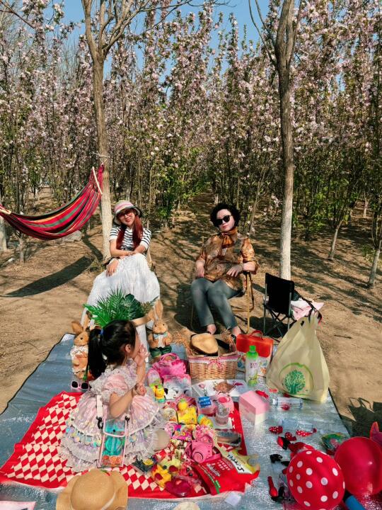 天津，周末露营🏕️好去处，免费❗❗