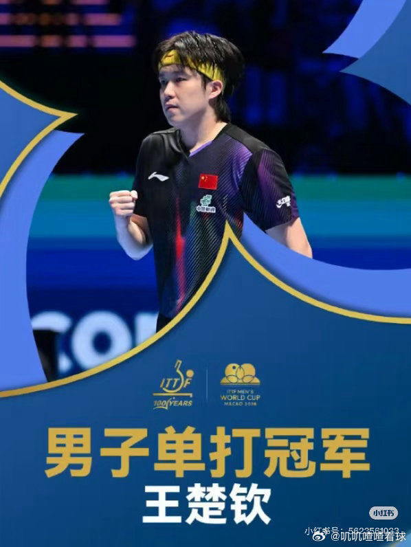 王楚钦夺冠一个人在布满荆棘的路上，艰难的走到了巅峰！超越了自己！ 