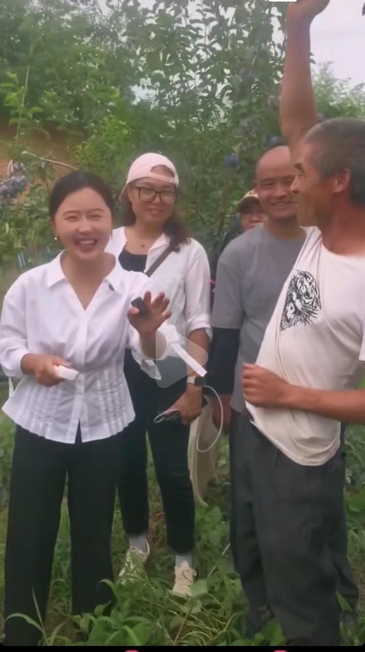 相宜昨天抽空回了趟白良村，她带着团队的人去西梅园监测了西梅的糖度，等到西梅成熟达
