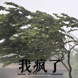找手机怎么都找不到发现手机被我关在冰箱里了拿东西的时候顺手放里的脑子不用就捐了吧