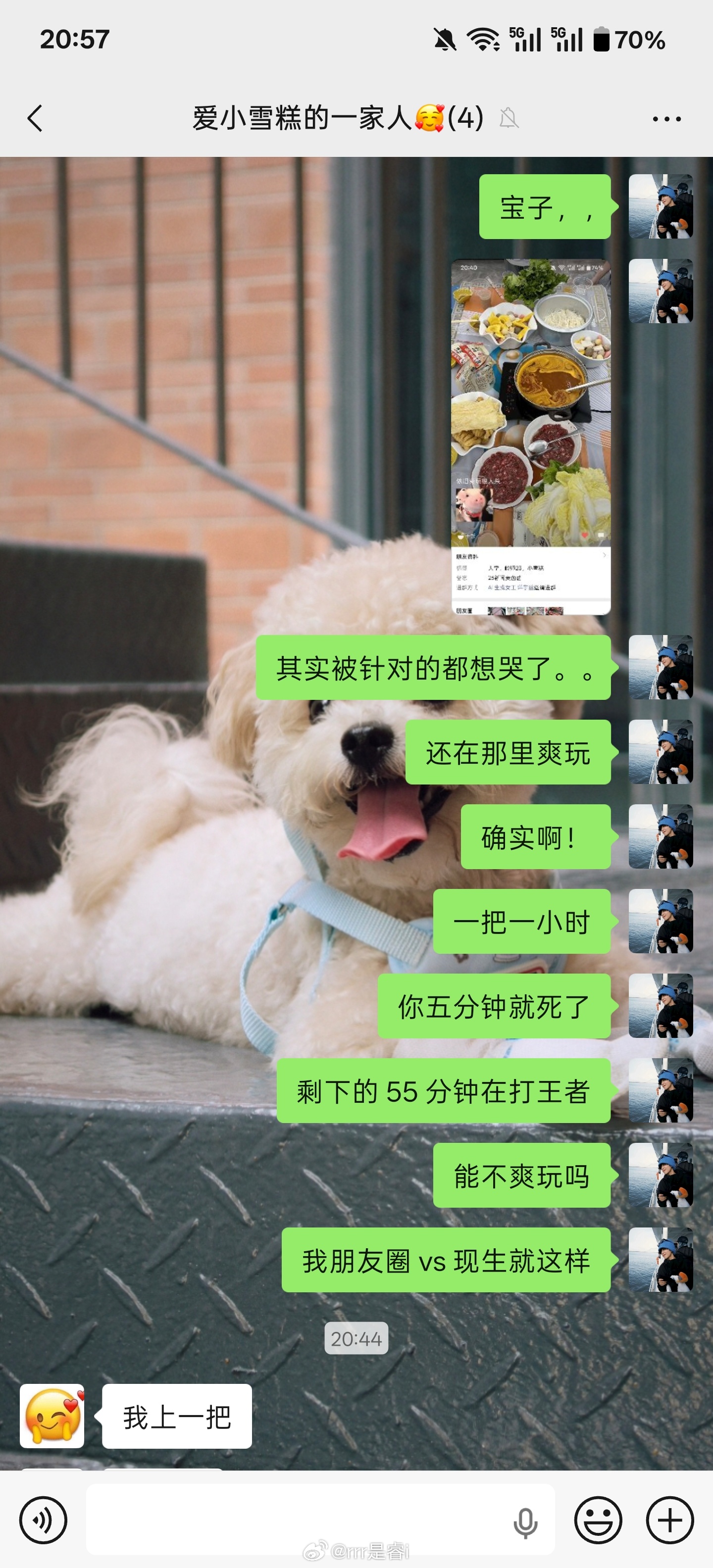 我真的一直在哭😭 