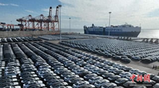 15天直达中东！广西北部湾港单航次运2727辆车，打通出海前后链路