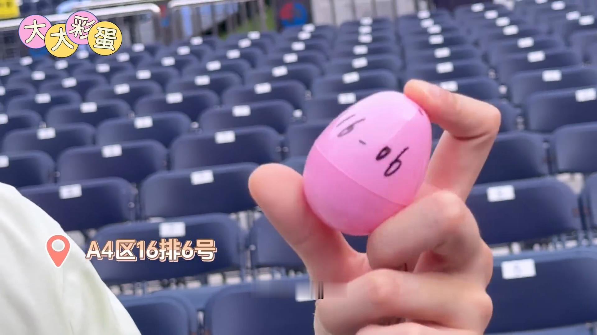 王源彩蛋亲签序号亲自粘贴王源准备了十二份彩蛋 幕后记录王源穿梭各个看台安放彩蛋，