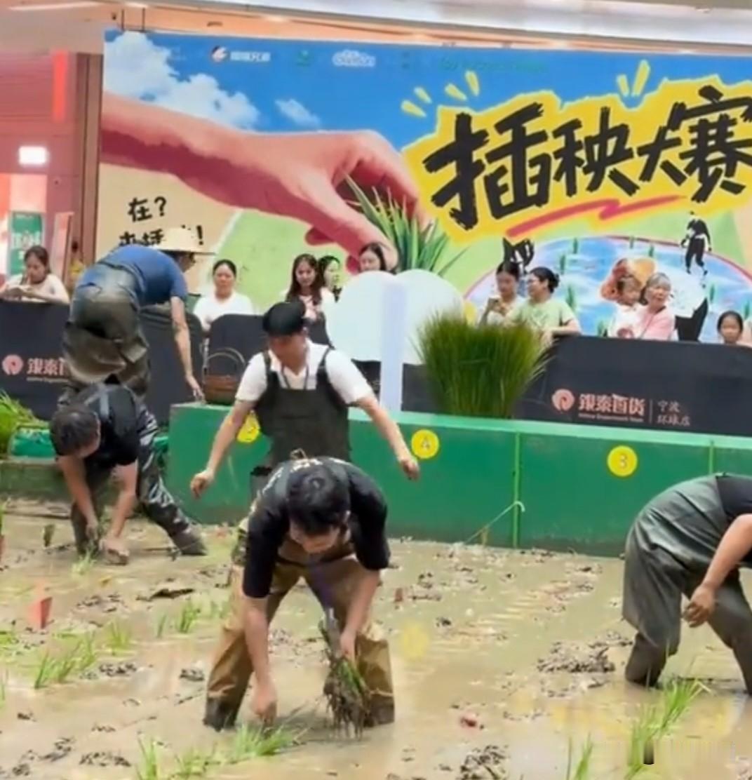 商场花巨资搬40吨泥土办插秧比赛，到底是接地气还是纯作秀？
 
端午假期，浙江宁