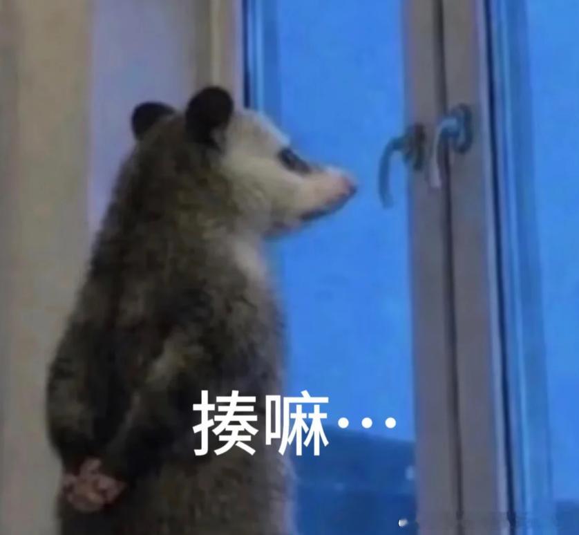 如果夏天永远是现在这个温度就好了， 不冷不热正正好
