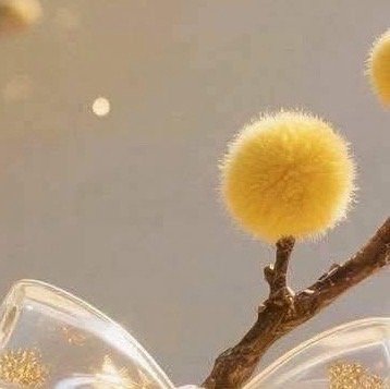 阳光信用  🍓阳光信用 🍓每日一善 沐浴着清晨那唯美又柔和的朝阳，开始新的一