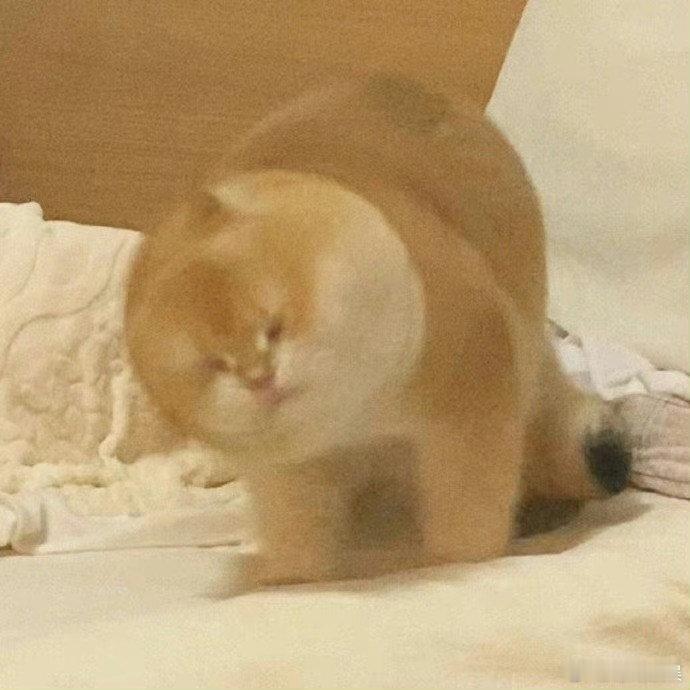 #世界公认带娃最简单的方法#我真的感觉是这样的，最近看抓娃娃，看到从小按照既定轨