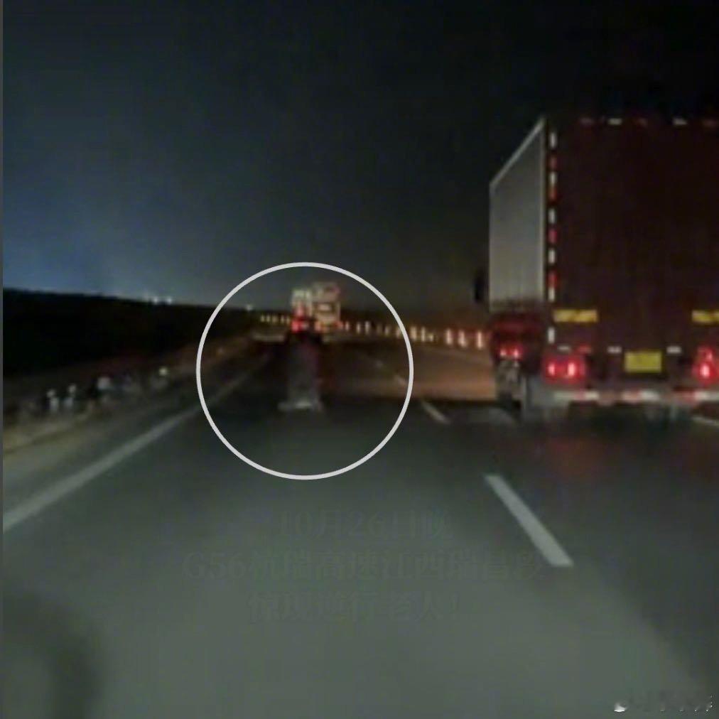 武汉网友高速上遇逆行老人高速逆行本就险象环生，老人还推车“添乱”，幸有智能辅助驾