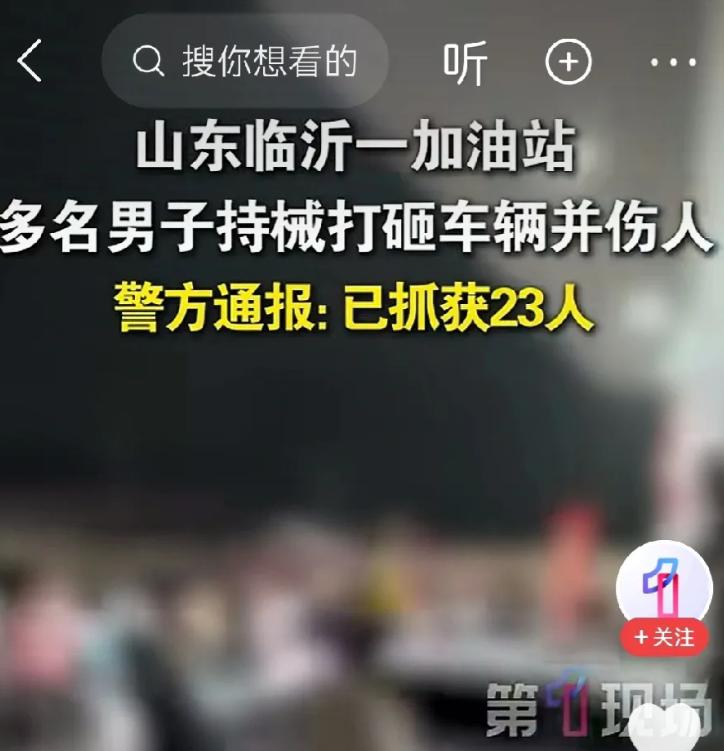 这下好了，牢饭能吃个饱！
23人持械打砸一辆宝马车和车主！这些精神小伙看来是没有