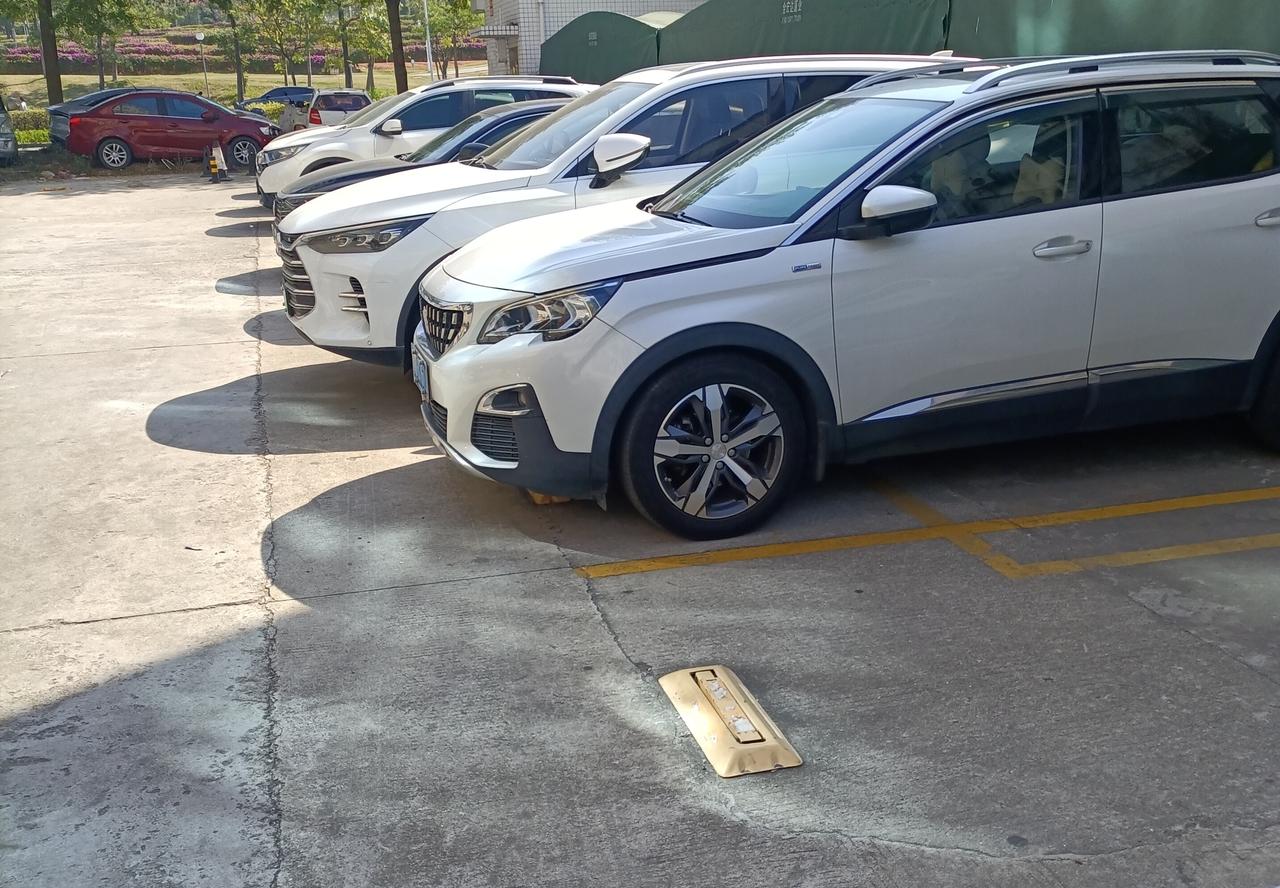 人跟人的想法不一样，人生尽不同！
有个同事，在司做了十年，从没结婚就在外租房住，