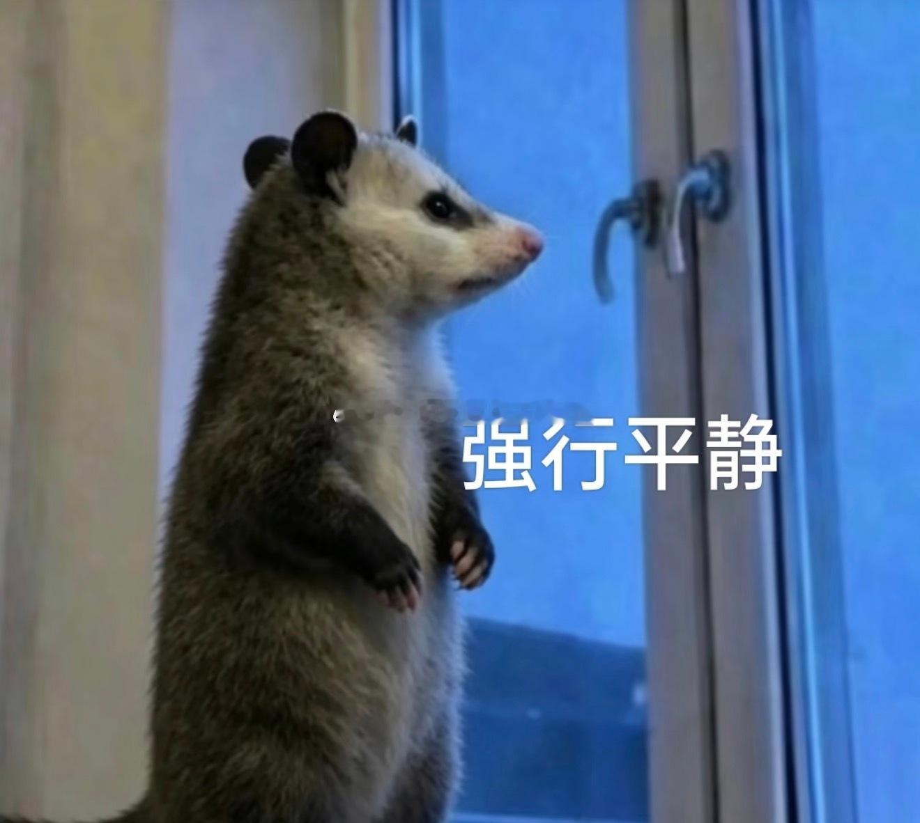 其实看韩漫还有韩国的小说，就知道韩女大部分都是gk 