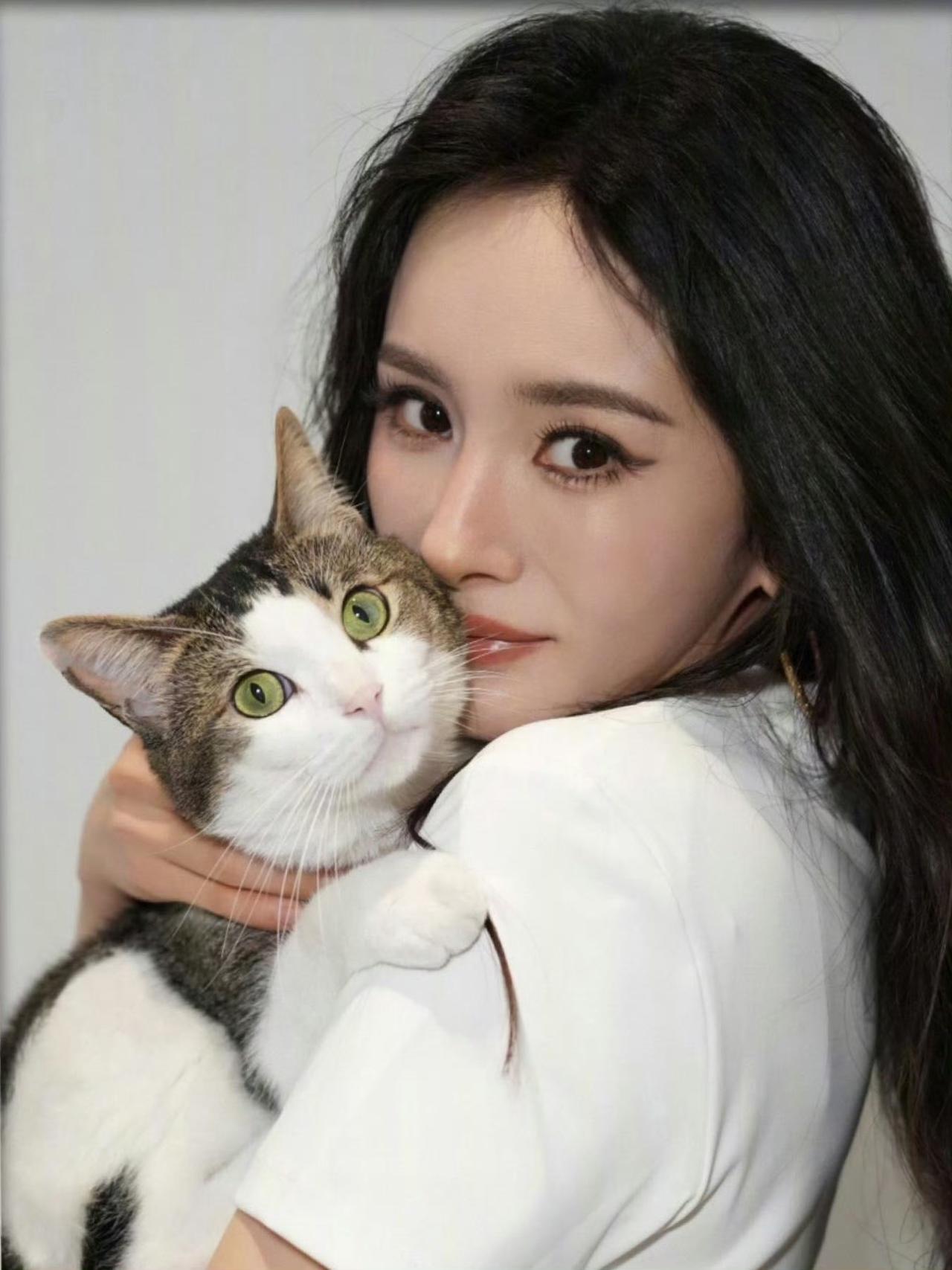 杨幂和🐱，好温柔的姐姐