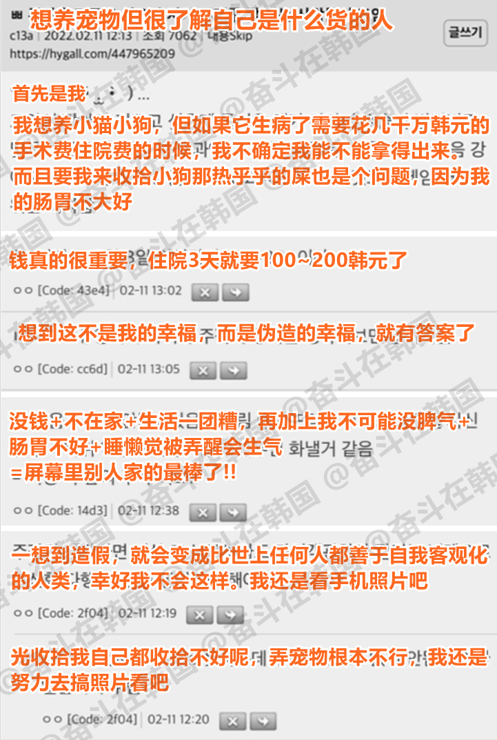 想养宠物但很了解自己是什么货的人 海外新鲜事 热点现场 ​​​