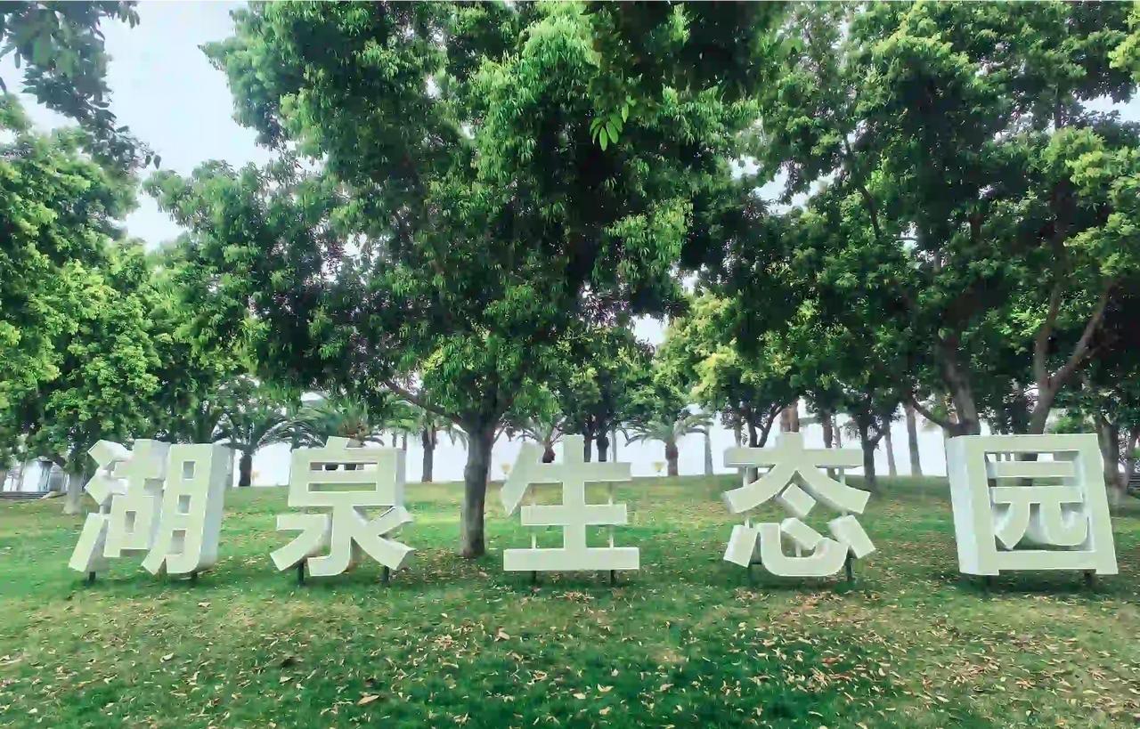 绿叶摇曳，轻舞飞扬，夏日的景象如诗如画，令人留连忘返。
