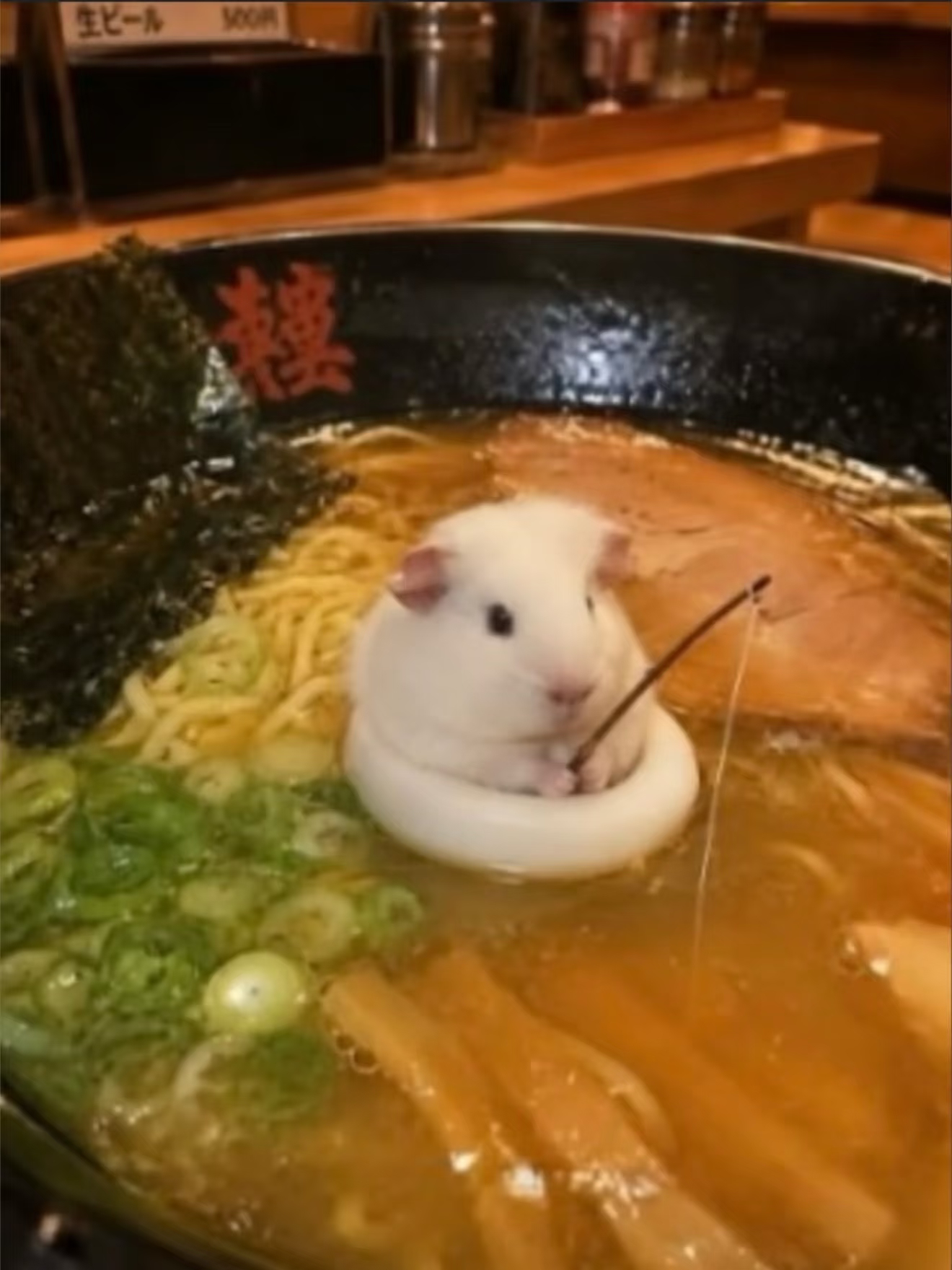 仓猪垂钓，ever上钩 