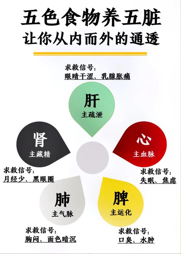 五色食物养五脏，让你从内而外的通透！