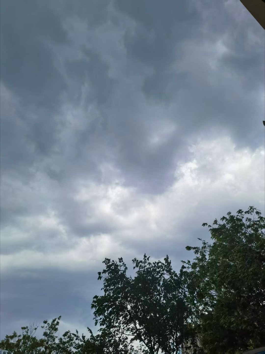 *碎碎念*今儿的云真是波诡云谲，眼见着白云滚滚到乌云压境，收完正晒着太阳的厚棉被