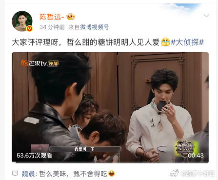 魏晨拿谐音梗当逗号使 魏梗王稳定上分！张口就来的双关梗密到停不下来，对陈哲远糖饼