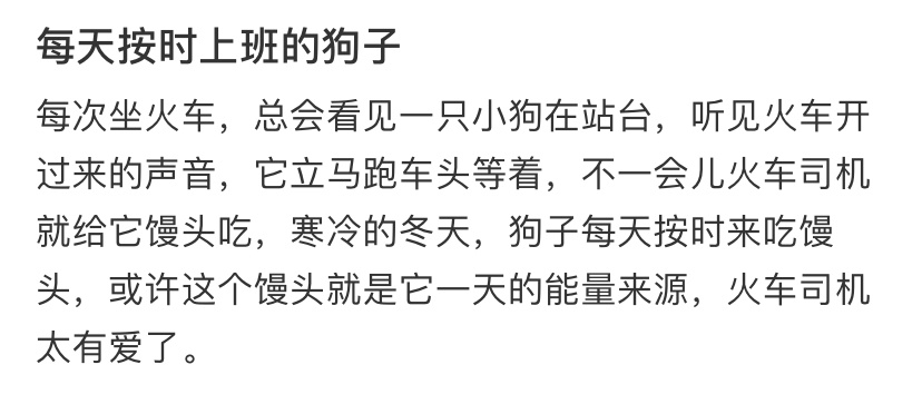 火车站每天按时上班的小狗 