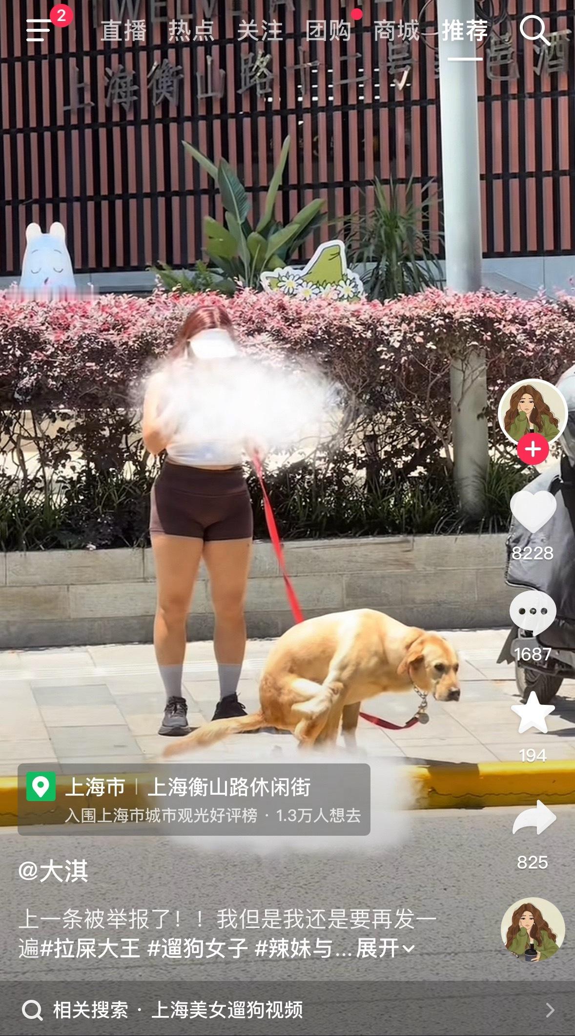 上海街头文明的爱狗人士