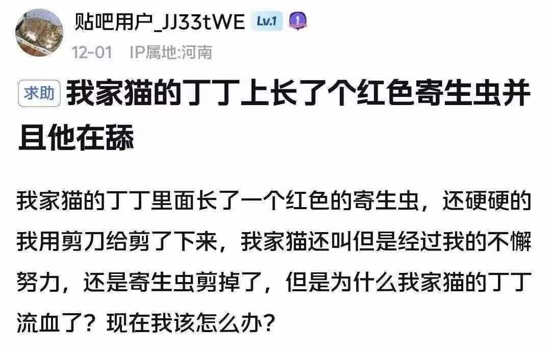 这猫完了。。。。。 