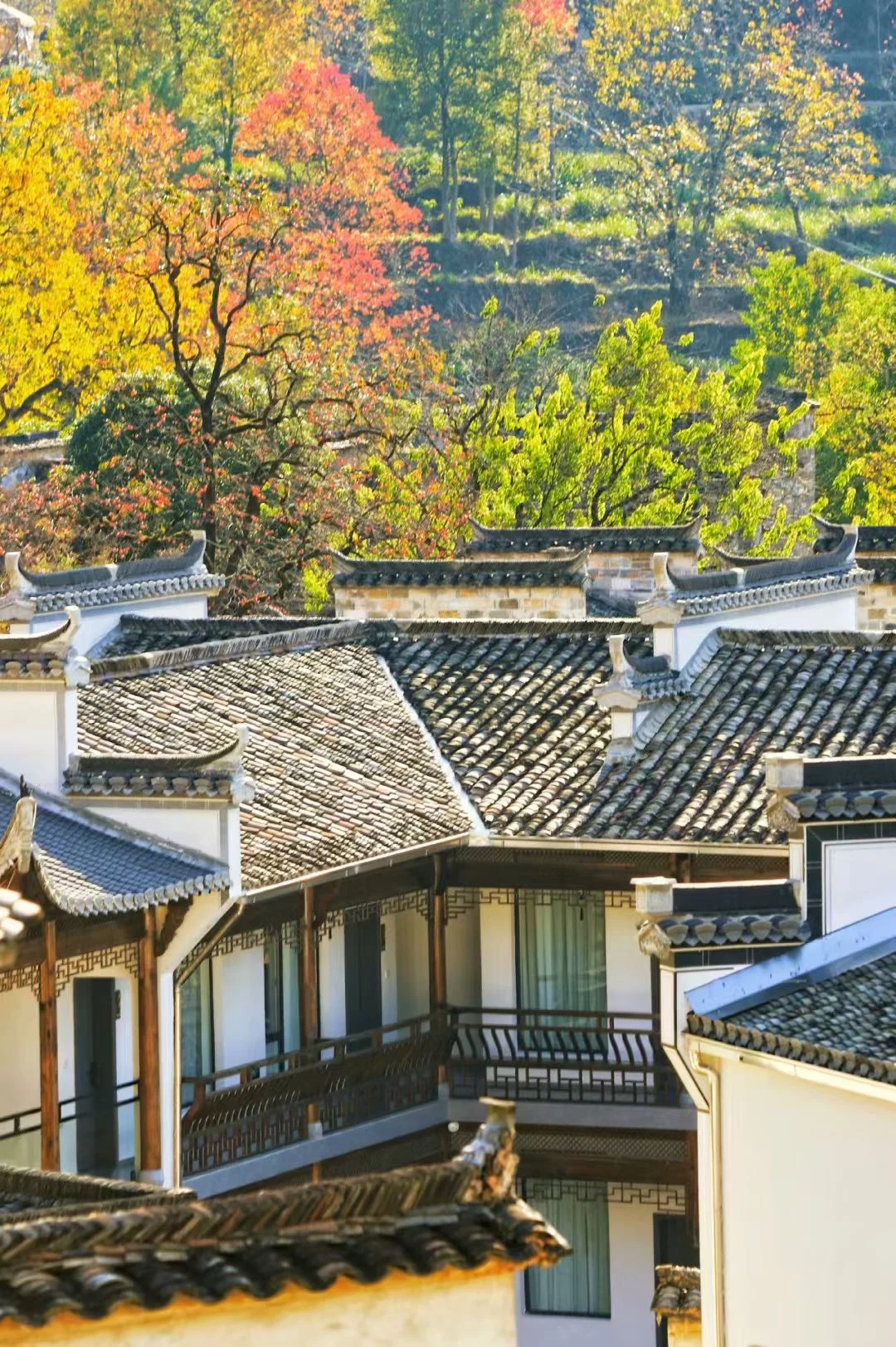 不是水墨画，是大自然的调色盘🎨