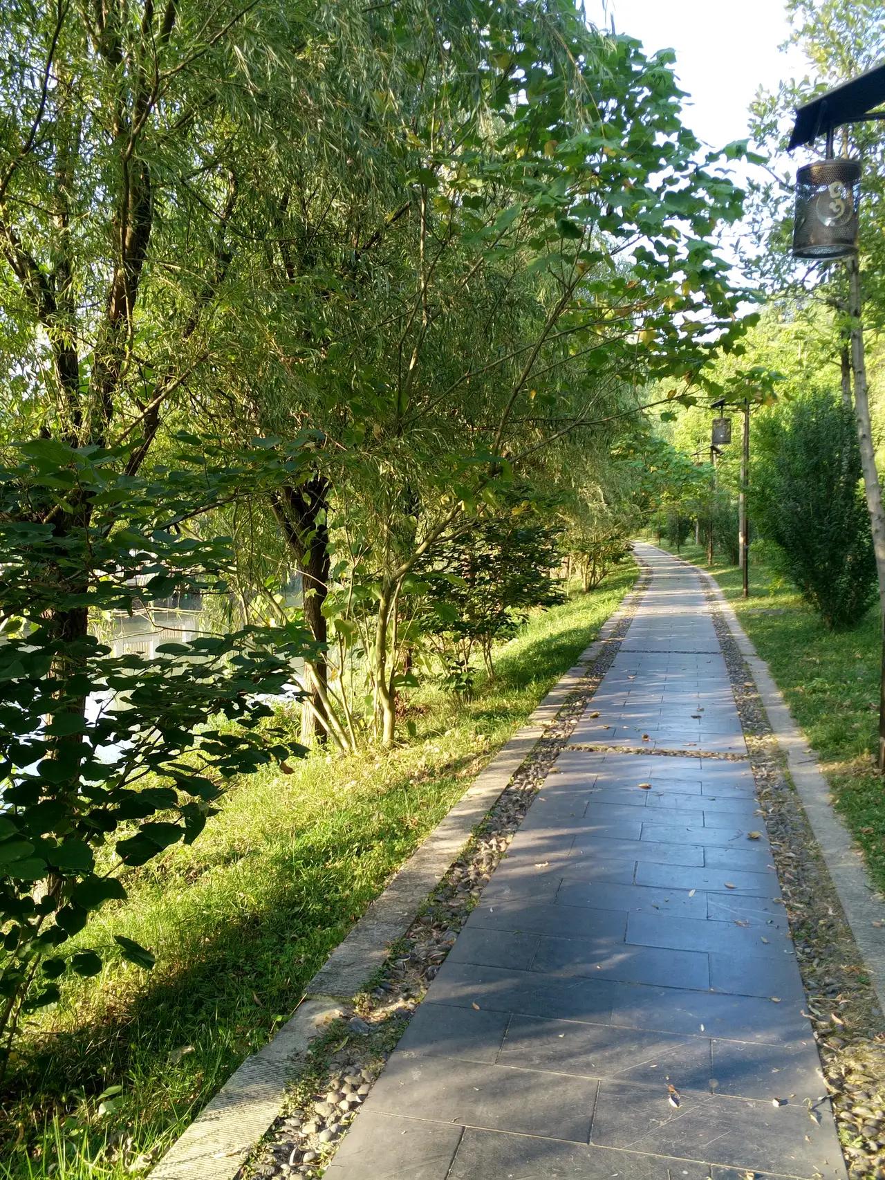 与自己，来一场温柔的重逢：三月末的温柔絮语，邂逅清明的前奏

诸位朋友，今儿咱们