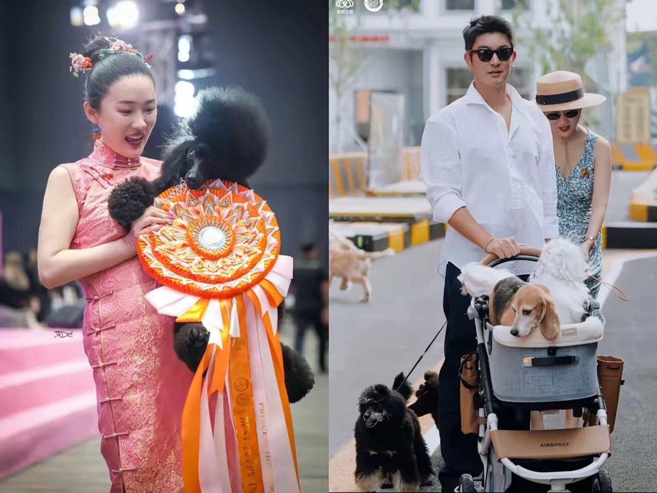 霍思燕说“我找老公有一个硬性标准，不帅没事，没钱也没事，甚至我爸妈不同意都没事，