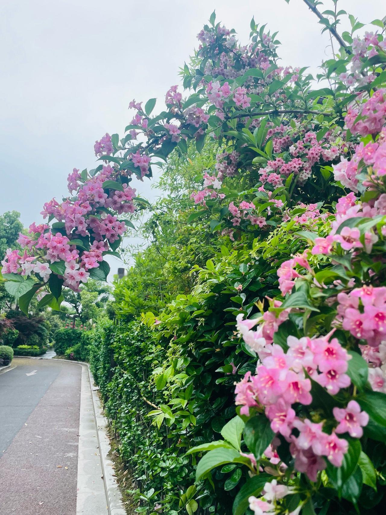 晒图笔记大赛一大片满是的