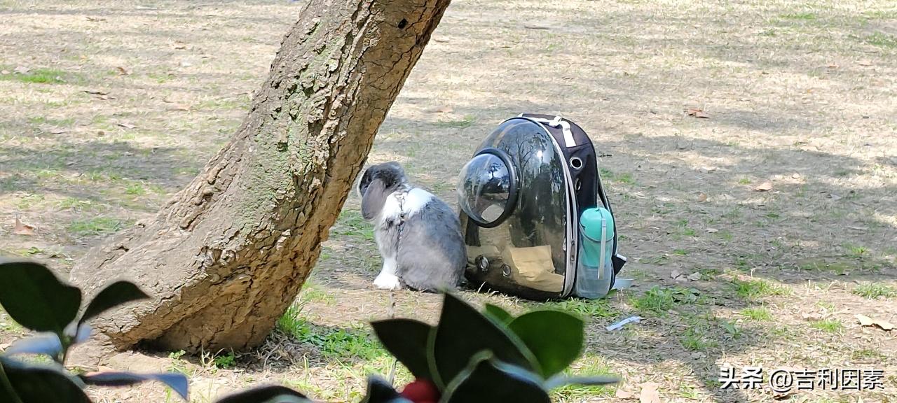 没了可以攫取的利益，亲情啥也不是
很多人迷信亲情，总认为血浓于水，啥都可以忽略，