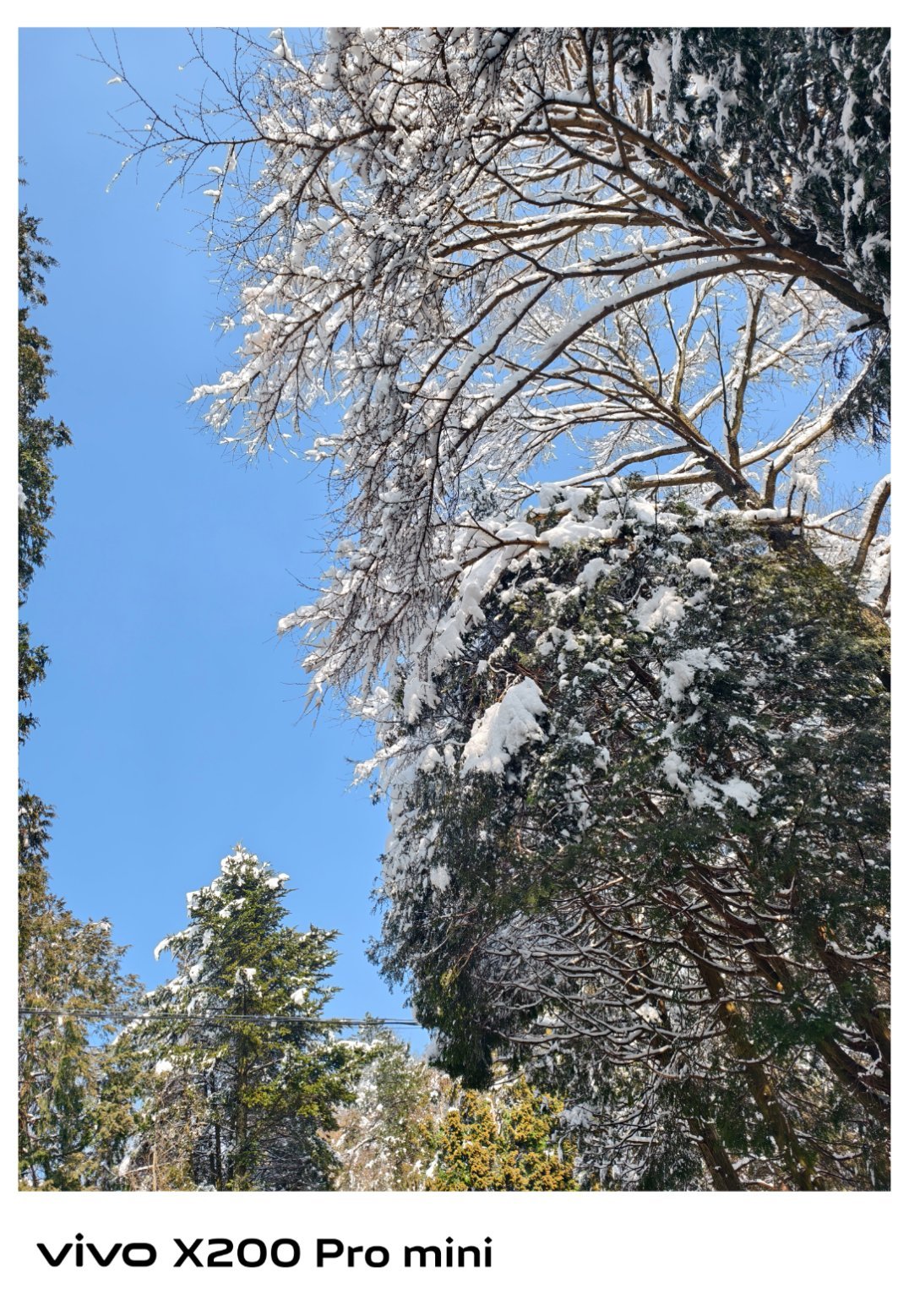 杭州的雪还是挺美的！早安[心] 