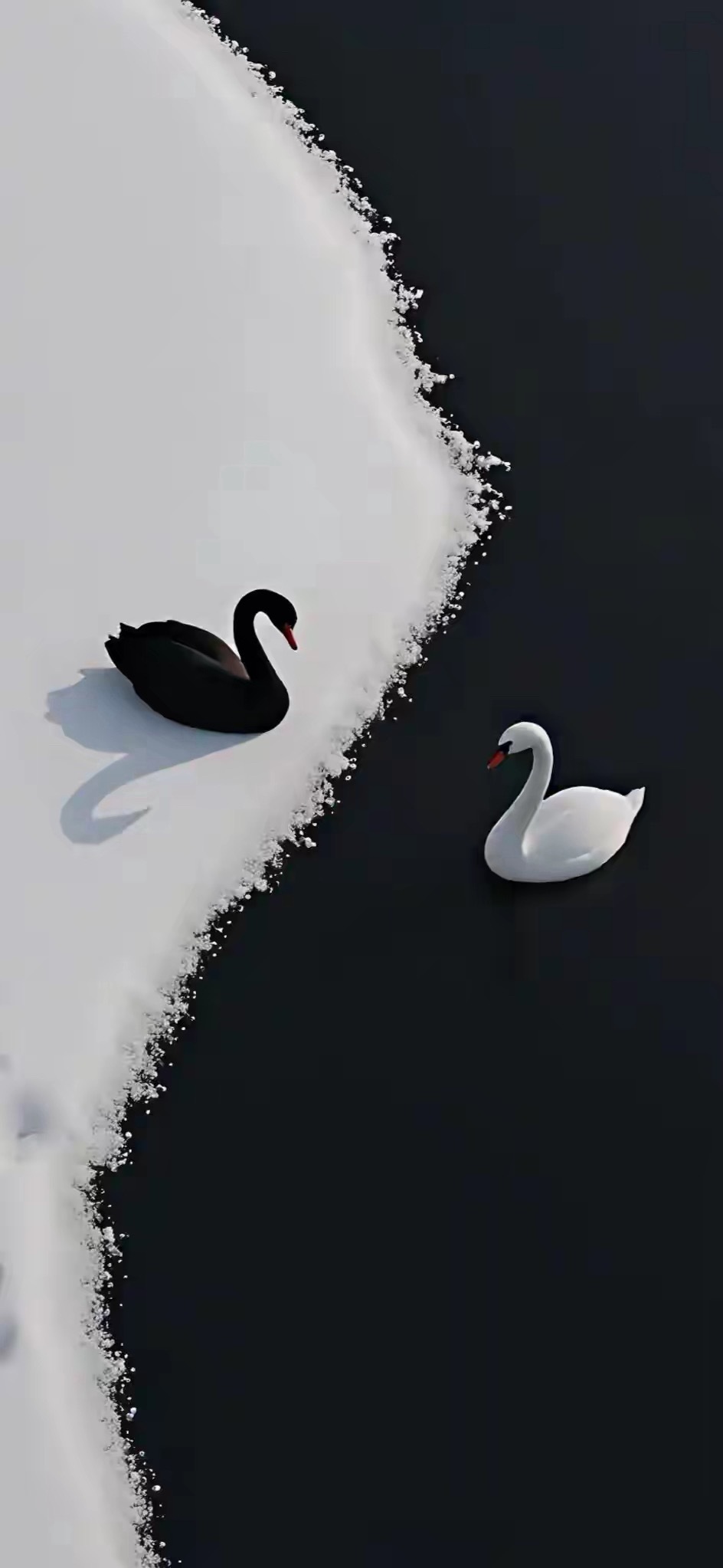 今天开始要赚钱了，英伟达业绩增长超强劲，机构卖盘估计本周就会被全球散户买光。并没