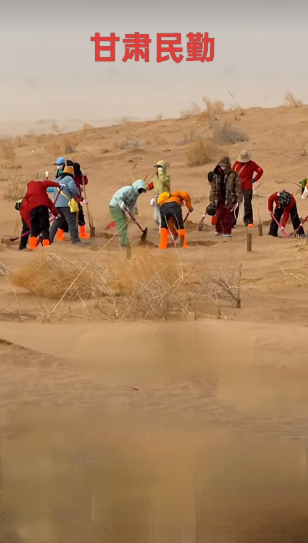 。
身份：从“本土守卫”到“全球合伙人”
这代人中，有受综艺《种地吧》感召而来的