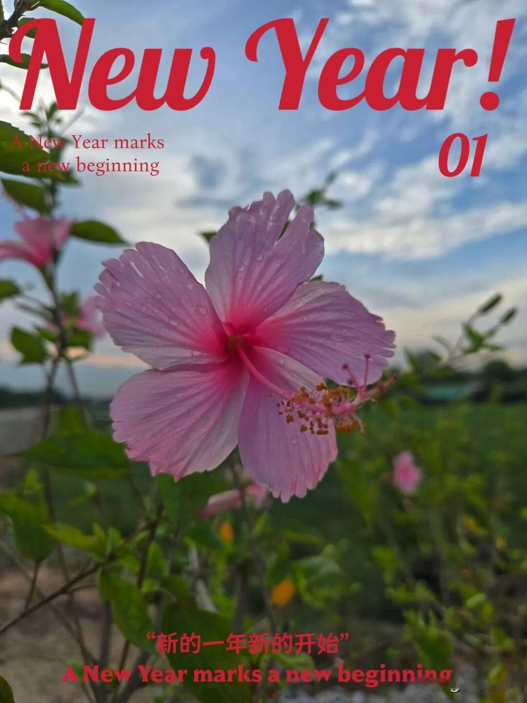 吃得香，睡得着，有事做，家人平安，知己两三，这就是幸福人生。

若果你能达到60