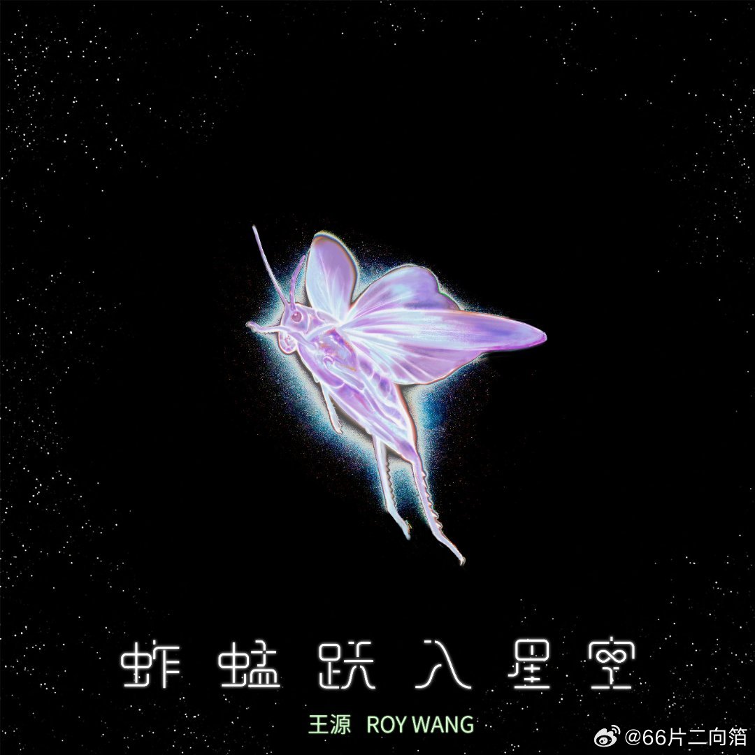 小圆圆有自己的昆虫记 