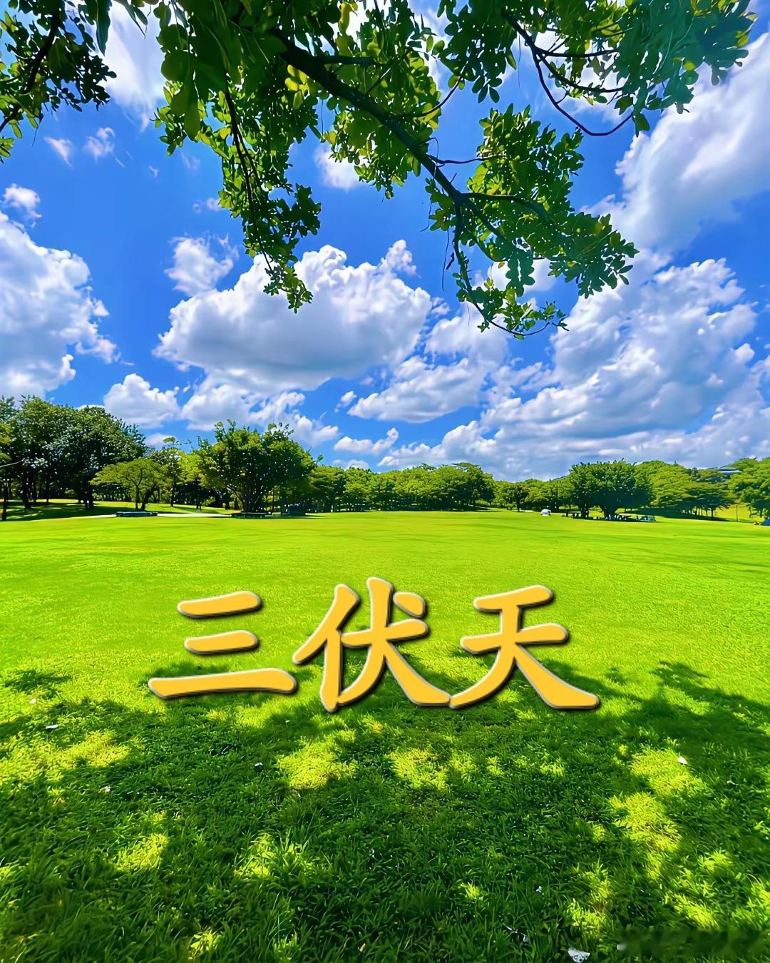 三伏天的时空特性（融合《内经》五运六气、一气周流、全书体系）一、时间维度：干支时