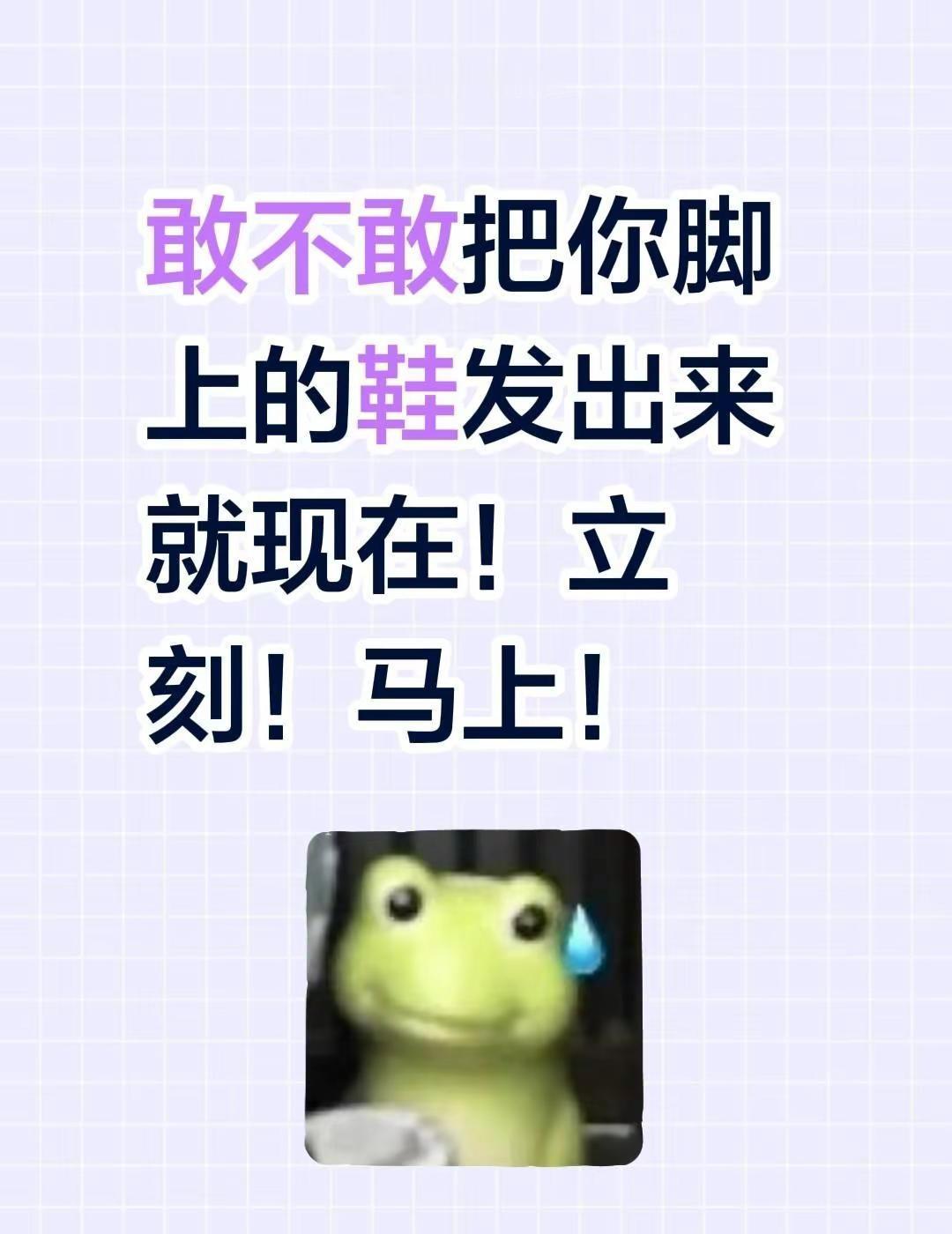 敢不敢把你脚上的鞋发出来 就现在！立刻！马上！鞋子鞋子鞋子鞋子鞋子 夏季鞋子 超