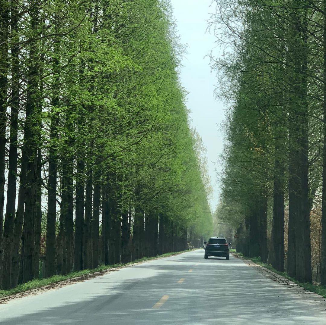 随拍风景交换一张你随手拍的风景😎