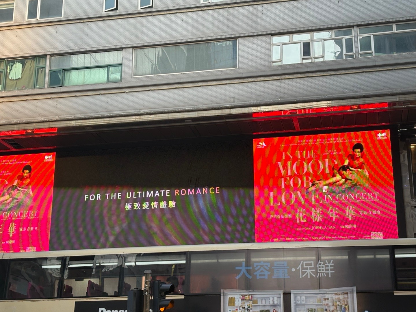 2026从旅行过年开始 