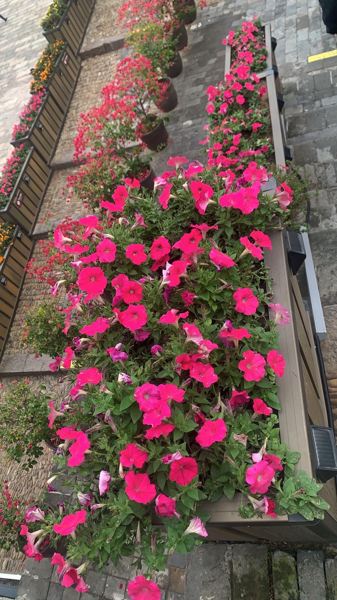 祝大家冬日愉快[比心][比心][比心]