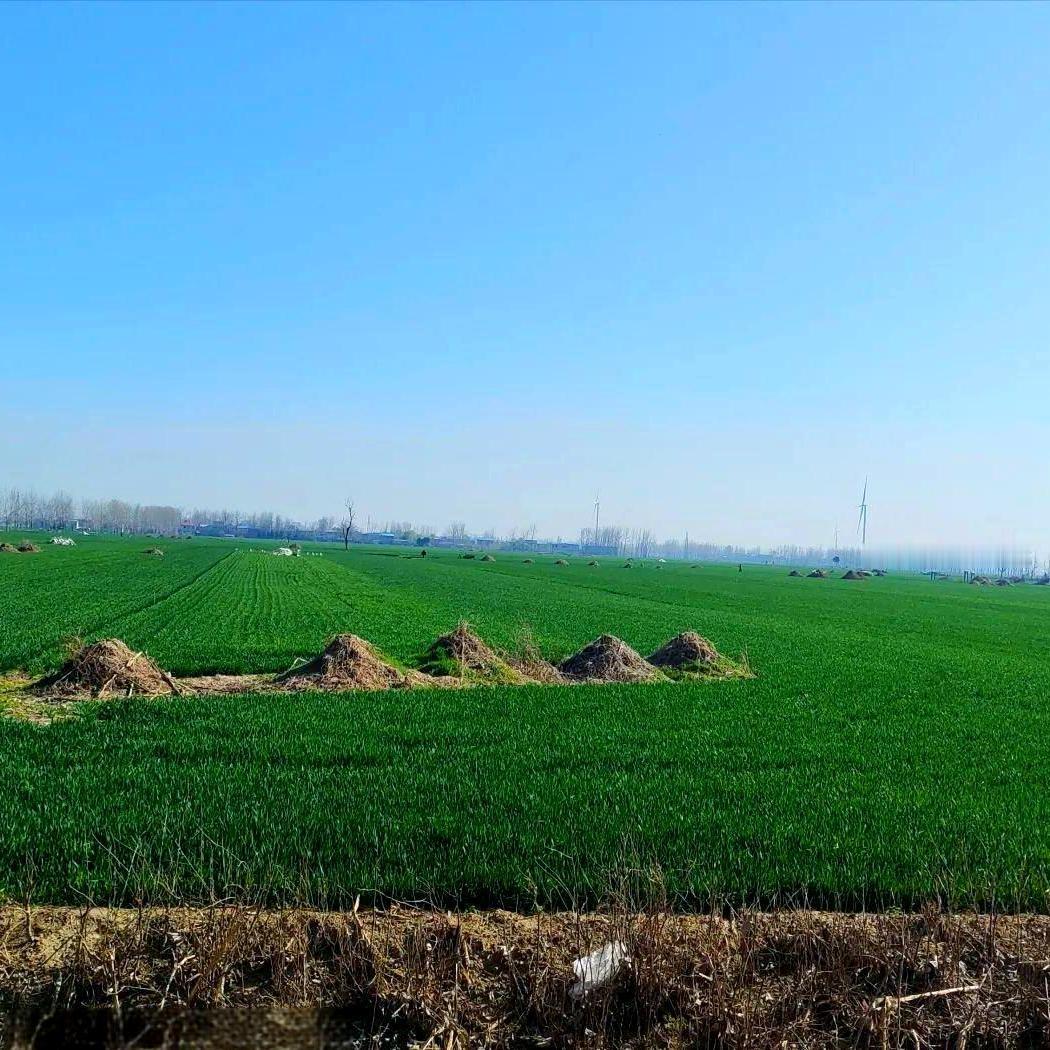 新的殡葬制度要来了
2026殡葬新规3月施行！
估计很多人接受不了，打破了很多人