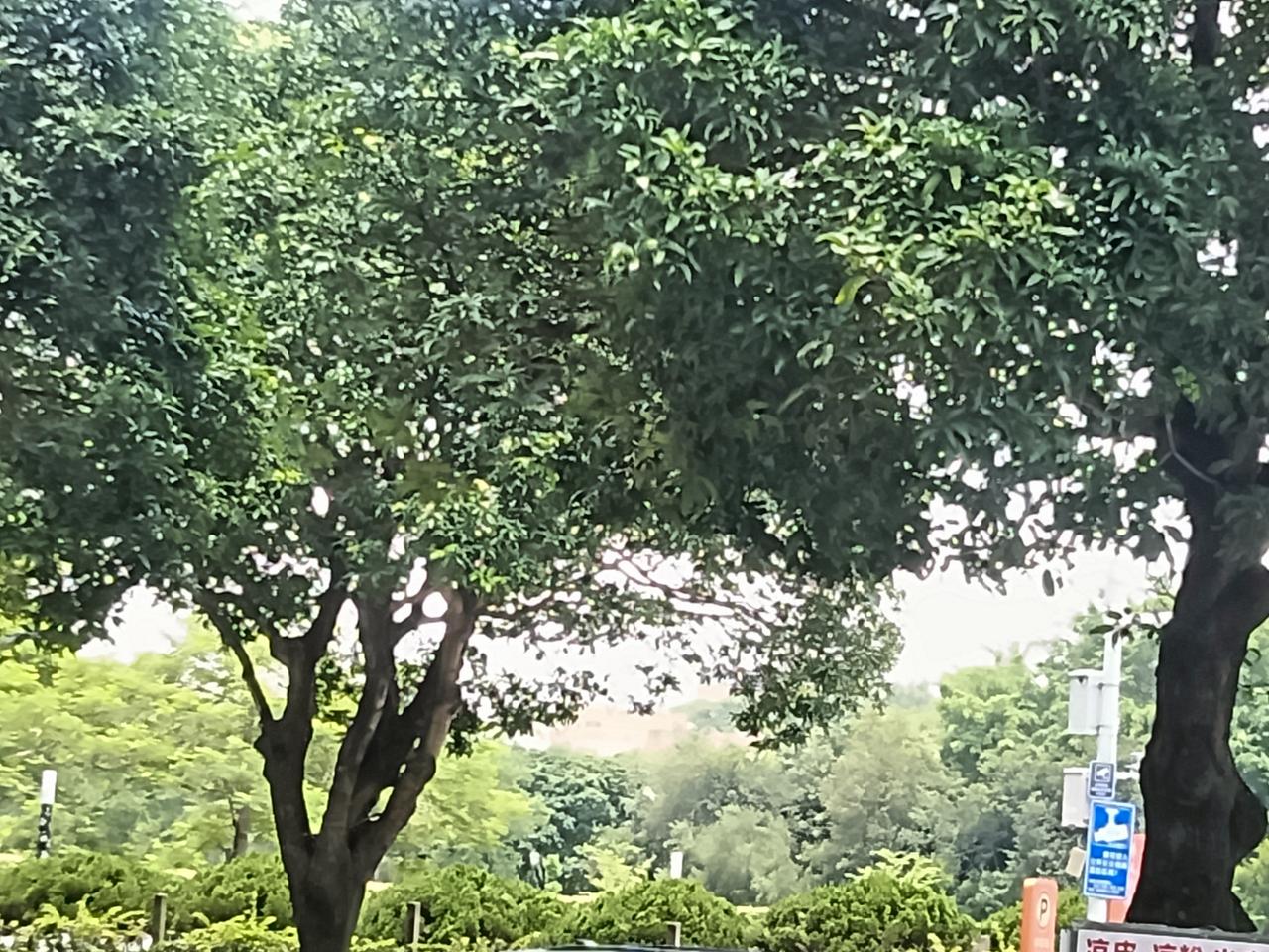 想保持快乐的心情，我有几个小妙招。首先，可以培养个小爱好，像我喜欢画画，每次拿起