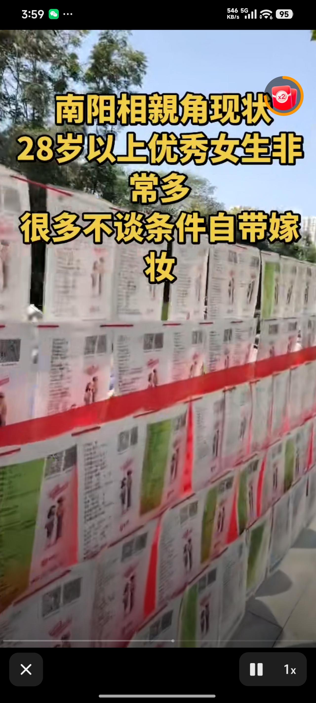 南阳人民公园的相亲角，简直就是个“爱情魔法盒”。28岁以上的优秀女生像一群欢快的