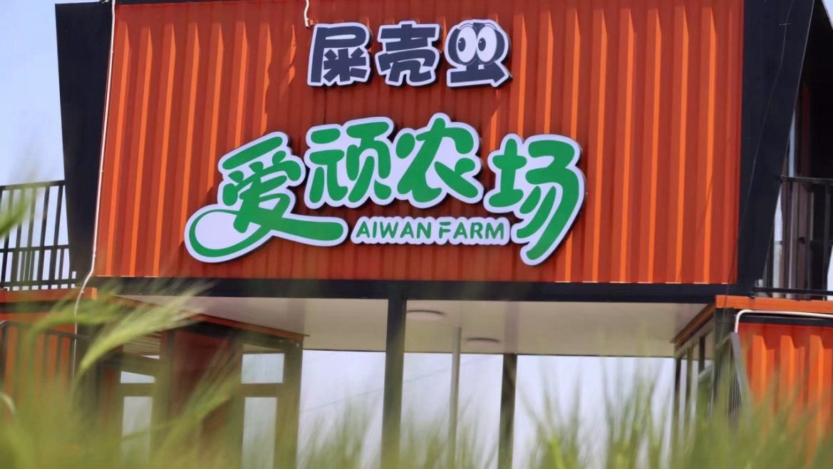 台州青年用自然教育盘活乡村经济温岭青年创客依托专业学识打造“爱顽农场”生态研学基