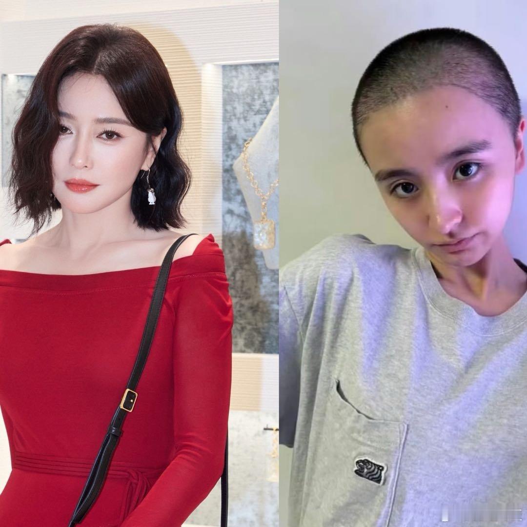 2026年4月9日，艺人林凡疑似通过微博小号发布长文，首次公开回应与昔日队友陆柯