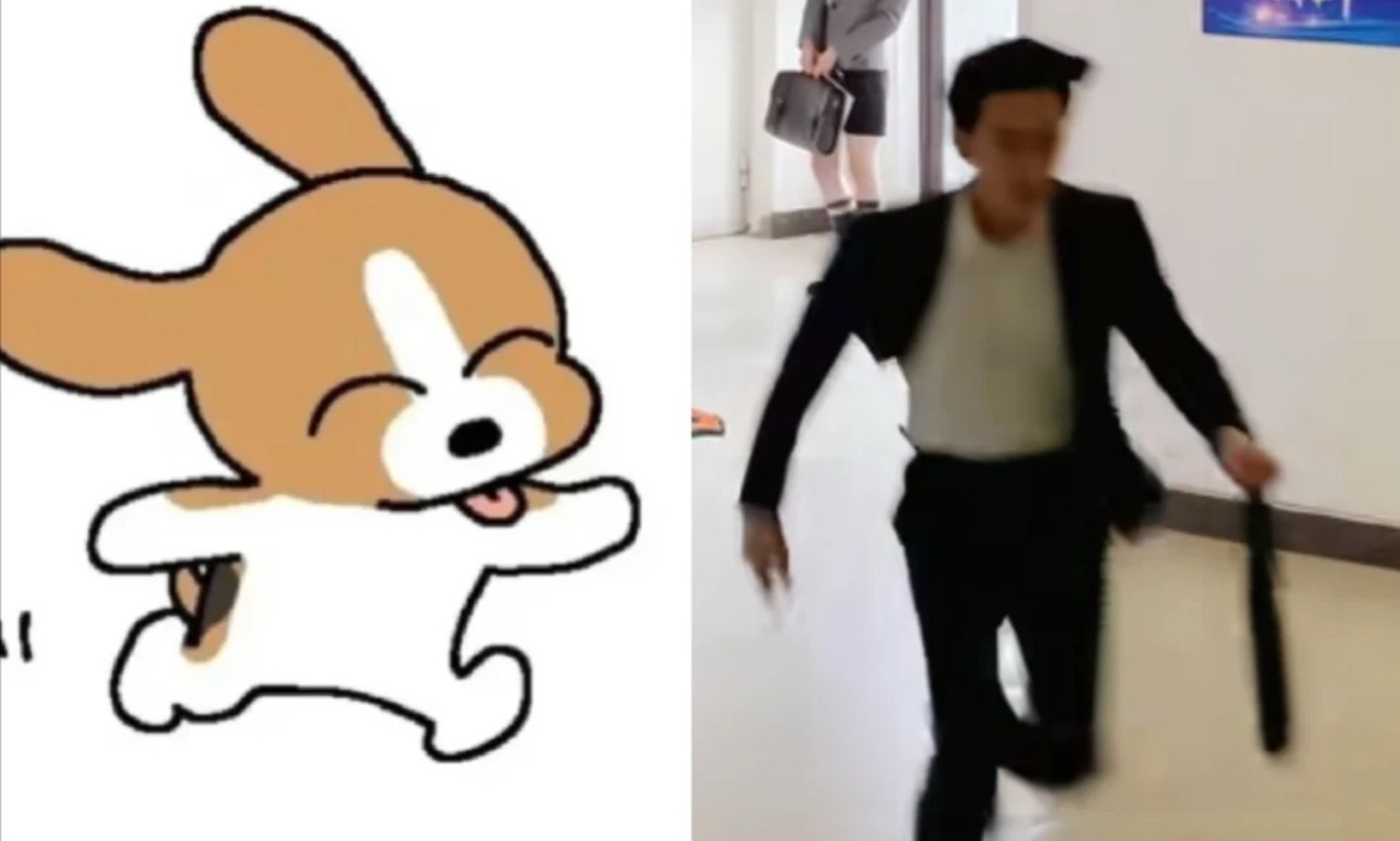 怎么总能找到适合李亦非的比格表情包啊啊啊 