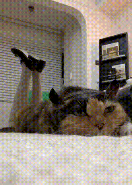 啊这……
这么诡异呢