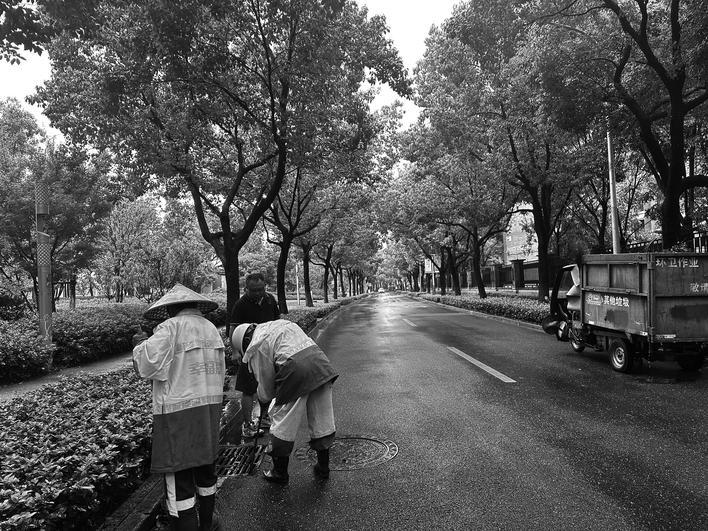 风雨里筑起“守护屏障”