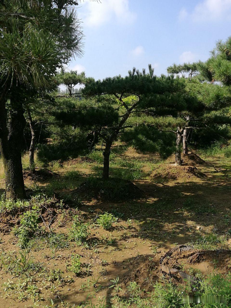 从溧阳乘出租车到常州一个多小时，沿途看到没见过的景色！

估计车程有20分钟左右