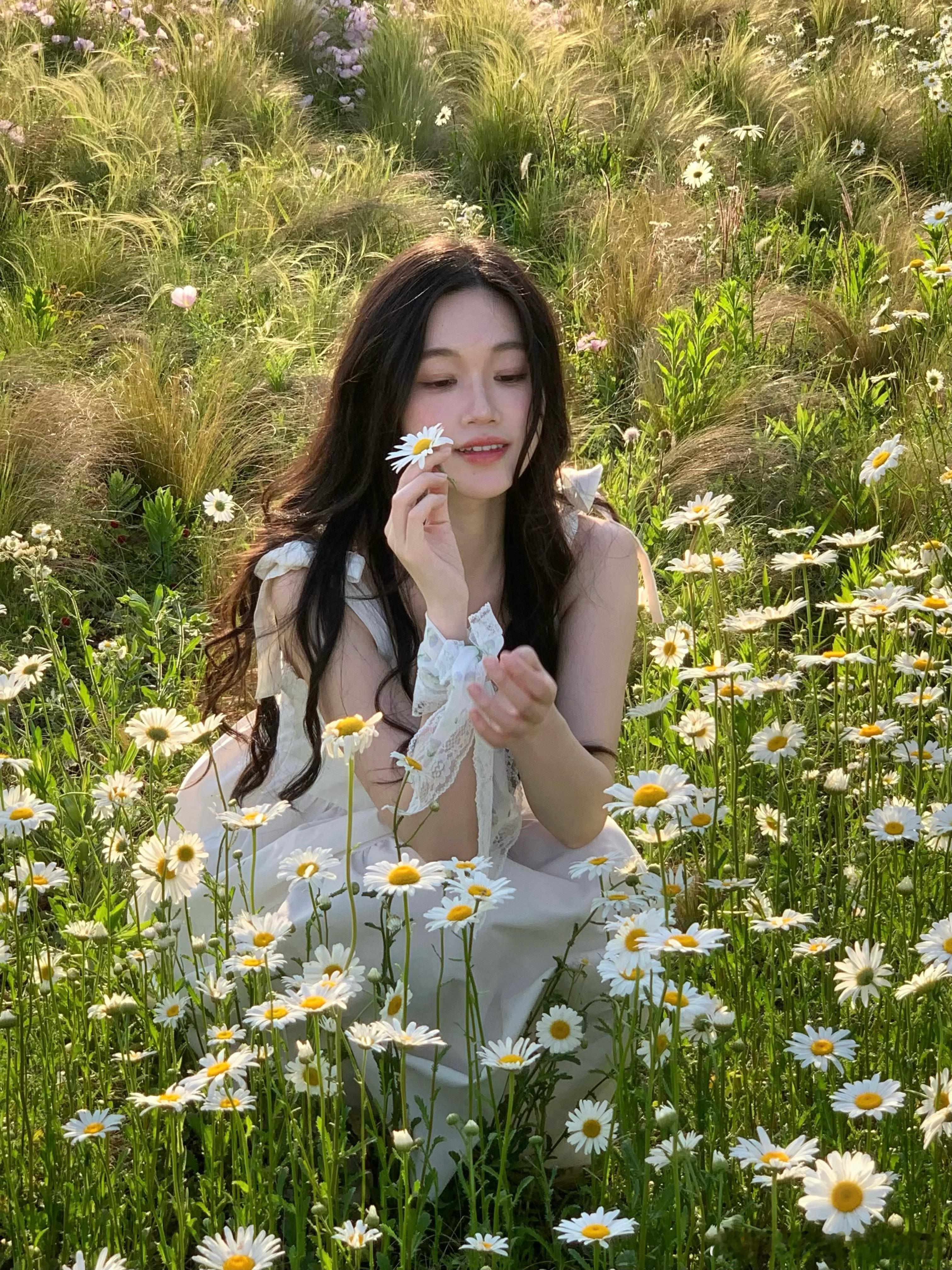 雏菊心事 ​​​